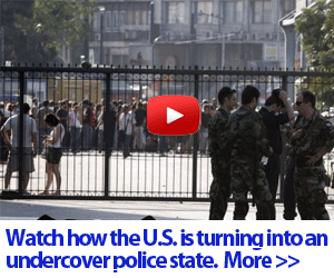 the family survival blueprints